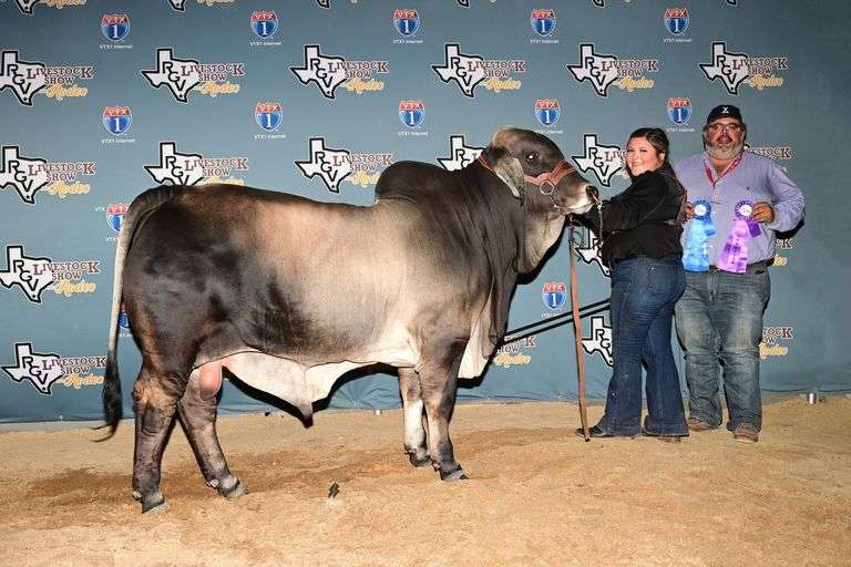 ASPIRATION: LMC LF POLLED BLACK BEAUTY (P)