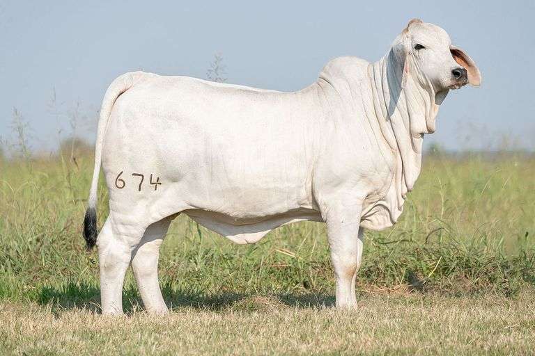 BRC Time Cast a Spell 674