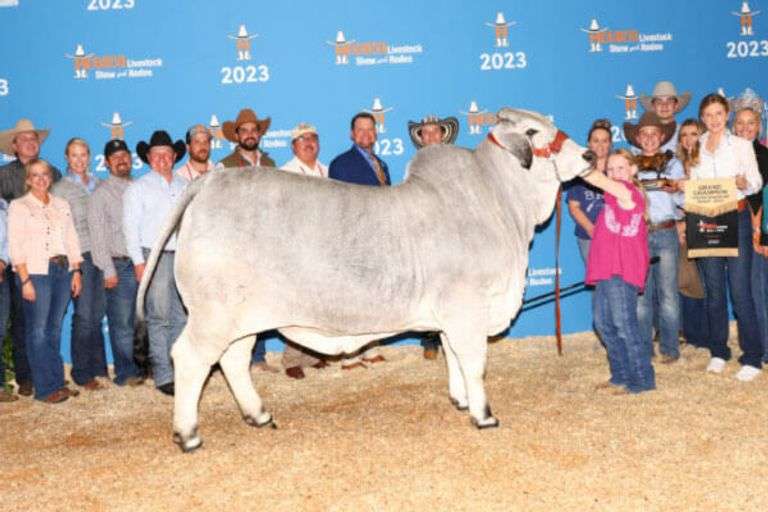 115 x 160 Frozen Embryos