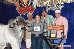 SEMEN: LMC LF POLLED CAPITAN 75/2 (P)