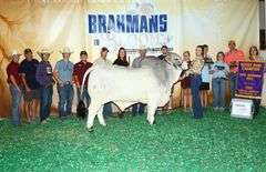 SEMEN: PCC BACK TO THE FUTURE 570/0