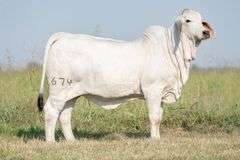 BRC Time Cast a Spell 674