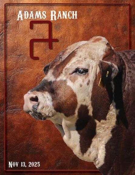 ADAMS RANCH 47th AUCTION - ANNUAL BULL AND HEIFER AUCTION