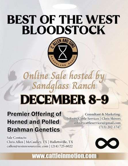 Sandglass Ranch “Best of the West Bloodstock” Online Sale-2025
