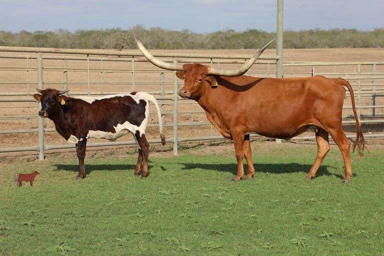 ECR Terrific Treasure