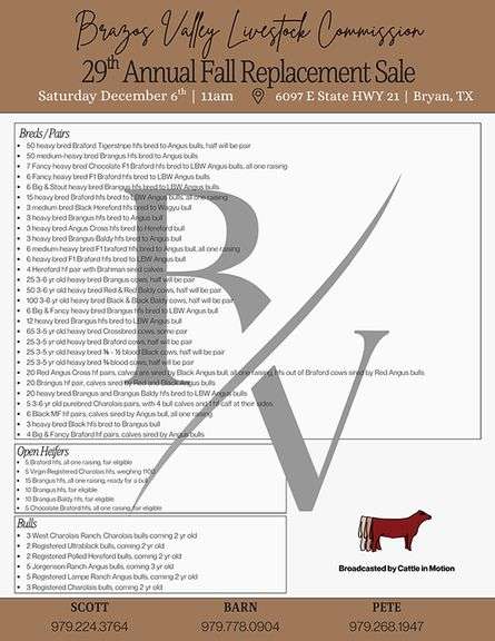 Brazos Valley Livestock Replacement Female Sale - 2025