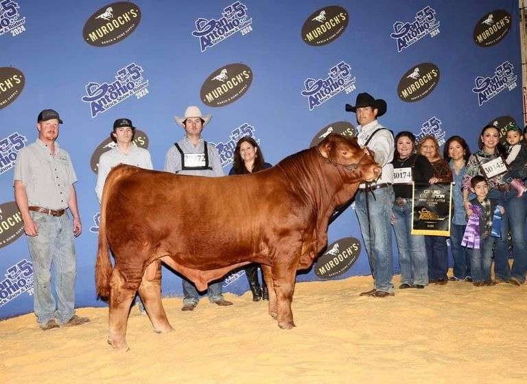 LMC BBS Red Dynasty 5L/3 2 Units of Semen