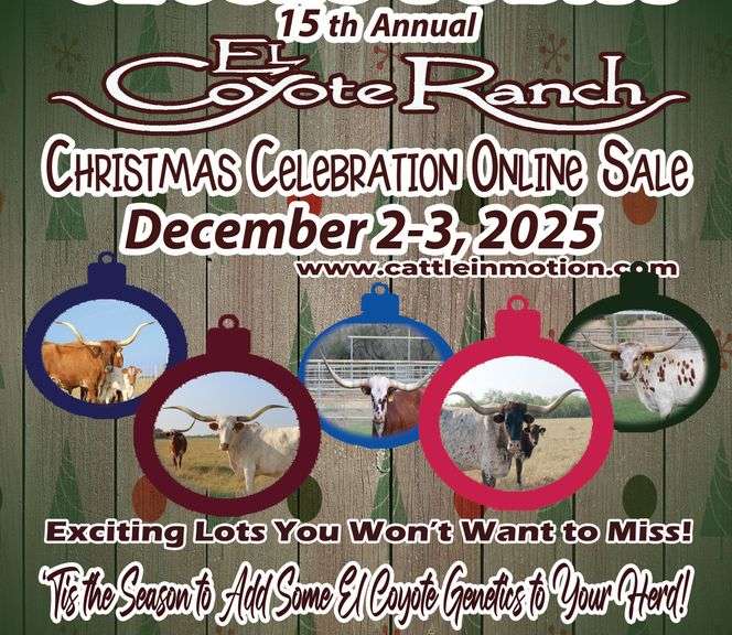 El Coyote Ranch Christmas Celebration Online Sale