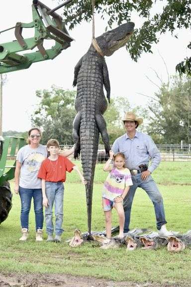 South Louisiana Alligator Hunt for 4 People