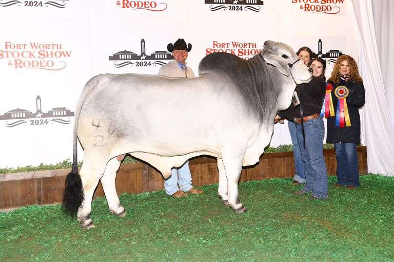 Grey Semen Package B: RedSmith Weller Manso 46/2, Mr. 4R Bowen 116