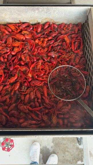 Crawfish Boil for 15-20 People (anytime from May 2026-June 2026)
