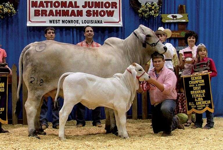 3 Straws of Semen: +Mr. V8 846/5