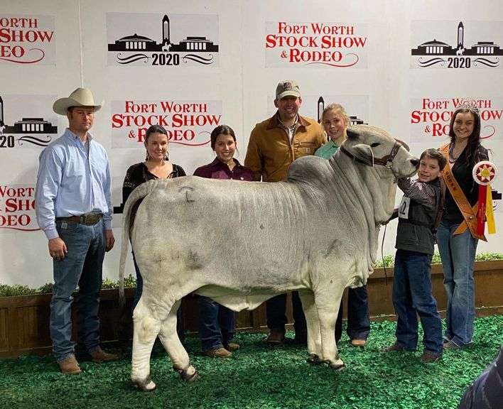 1 Straw of Semen: +JDH Mr. Manso 840