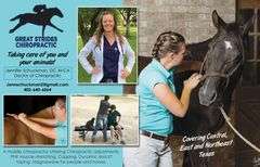Cattle Health Package: Magnawave Certificate, Two $250 gift certificates for Great Strides Chiroprac
