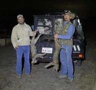 South Texas bobcat hunt for 2 people with 2 night stay