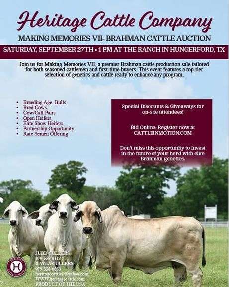 Heritage Cattle Making Memories VII Brahman Production Sale