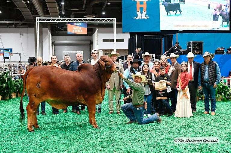 SEMEN: +TJF MR. SMOKIN GUN