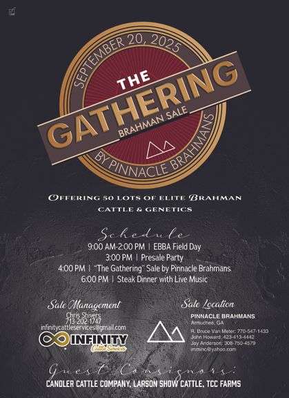 The Gathering Brahman Sale