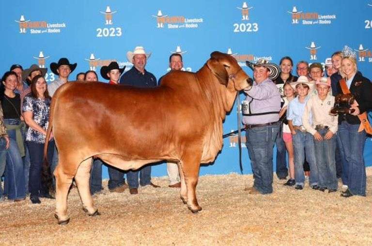 SEMEN: +TJF MR. SMOKIN GUN