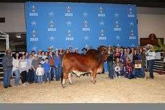 EMBRYOS: Mr Cletus 149/0 X Lady Mae 88/3