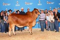 SEMEN: +TJF MR. SMOKIN GUN