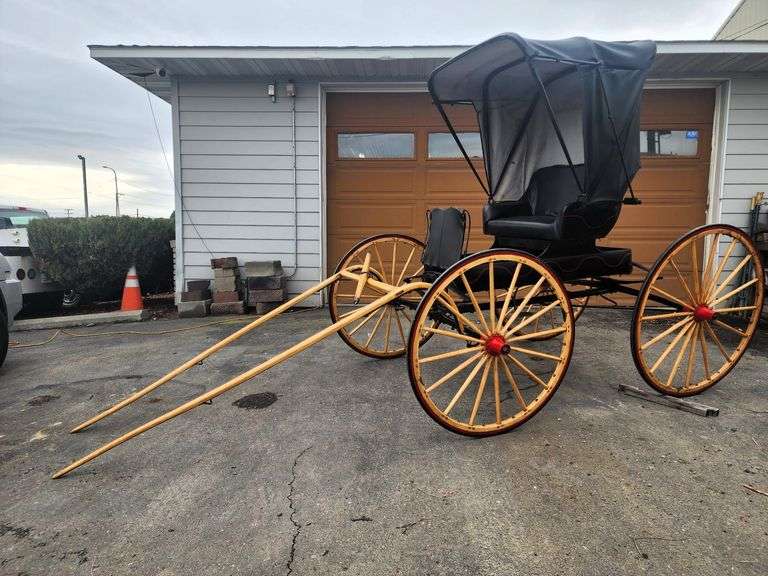 Banner Horse Drawn Doctor's Buggy