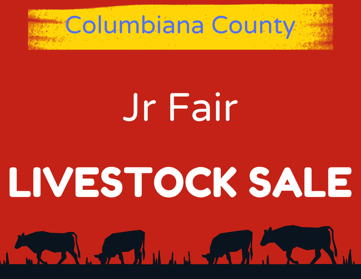 Thursday Night Jr Fair Livestock Sale