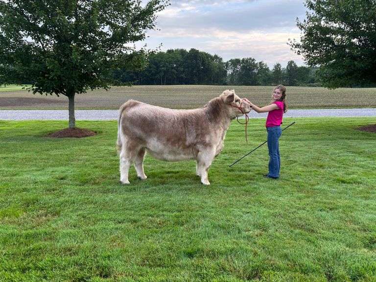 Fano, Larissa: Grand Champion