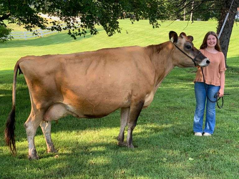 Cope, Ava - Columbiana County Jr Fair Auction