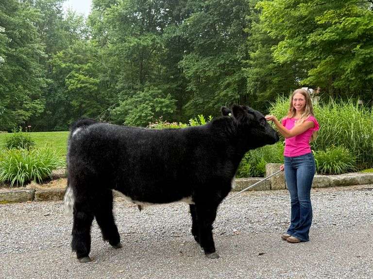 Kiko, Kamryn: Reserve Champion Steer