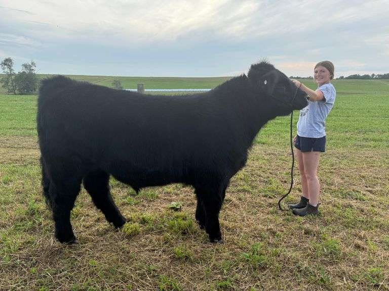 Koons, Callie: Reserve Champion Carcass Steer