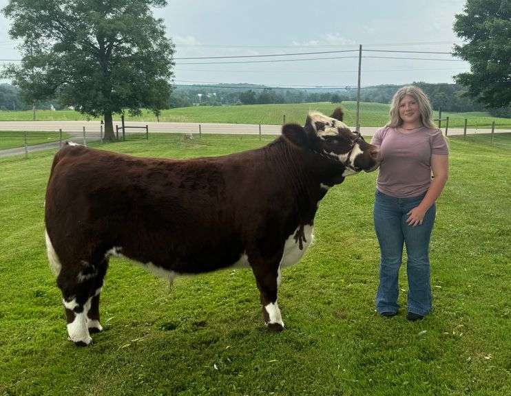 Aegerter, Madison: Grand Champion Carcass Steer