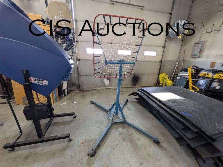 TOSS BACK - CIS Auctions