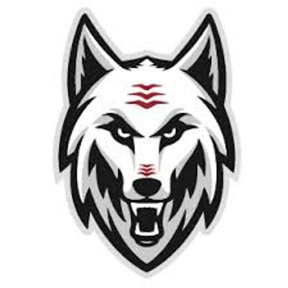 PAW PAW PUBLIC SCHOOLS, MI
