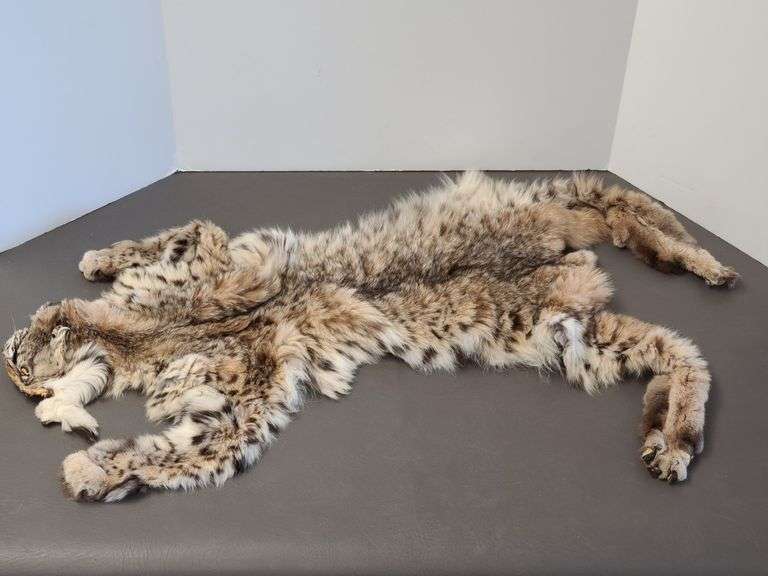 Animal Pelt