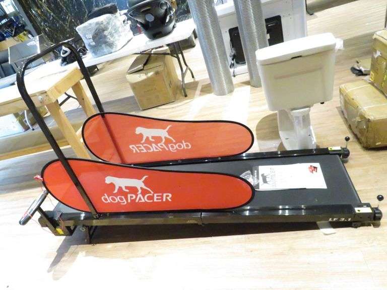 Dog Pacer Treadmill