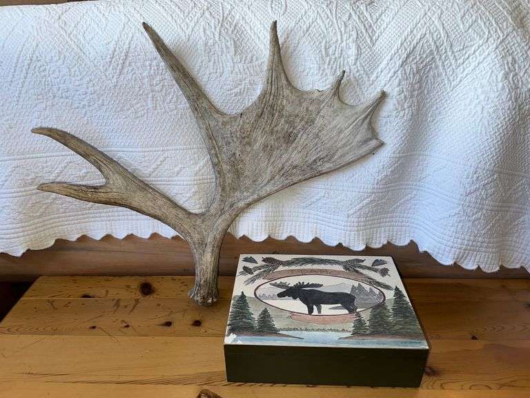 Moose Antler and Wood Moose Box