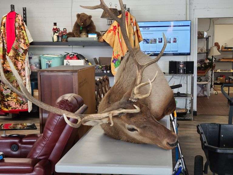 Elk Mount