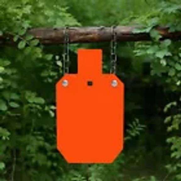 Steel Hanging Target