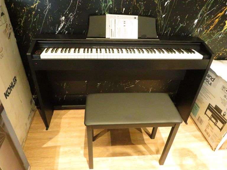 * Casio Electric Piano