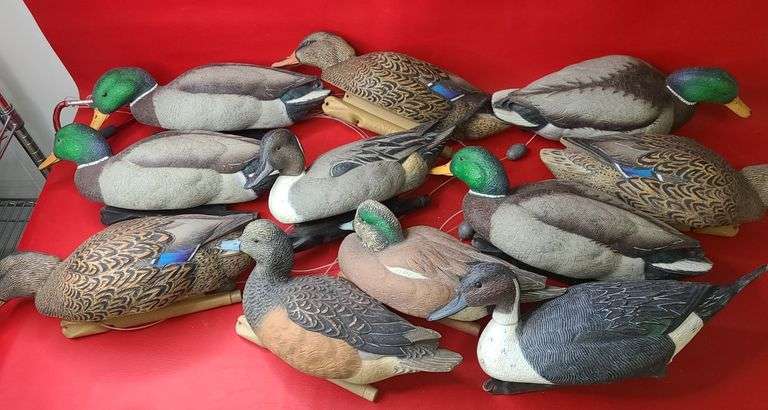 11) Duck Decoys