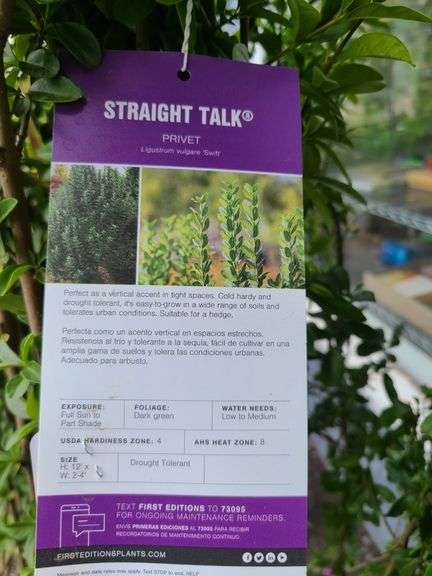 4) Straight Talk Privets