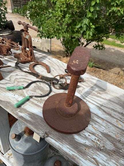 Rustic Cast Iron and Metal Collectibles