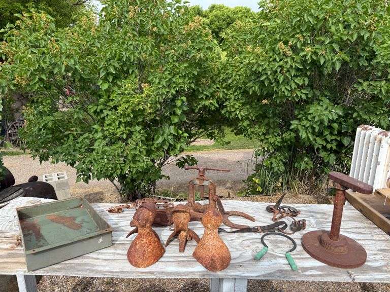 Rustic Cast Iron and Metal Collectibles