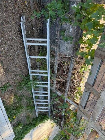 Ladder