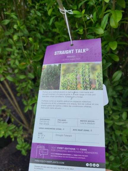 6) Straight Talk Privets