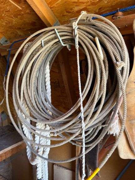 Horse Tack