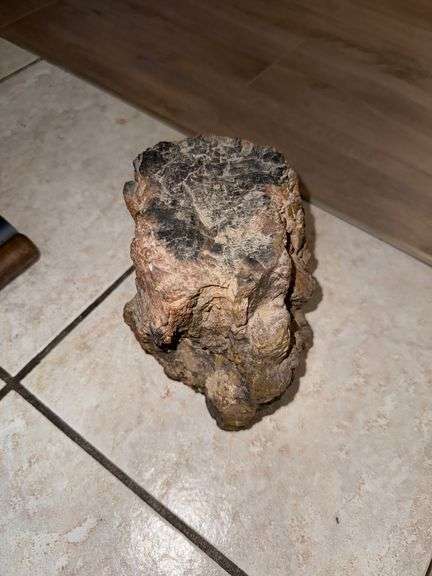 Petrified Wood