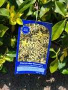 4) Moonshadow Euonymus Shrubs
