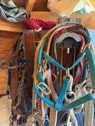 Horse Tack